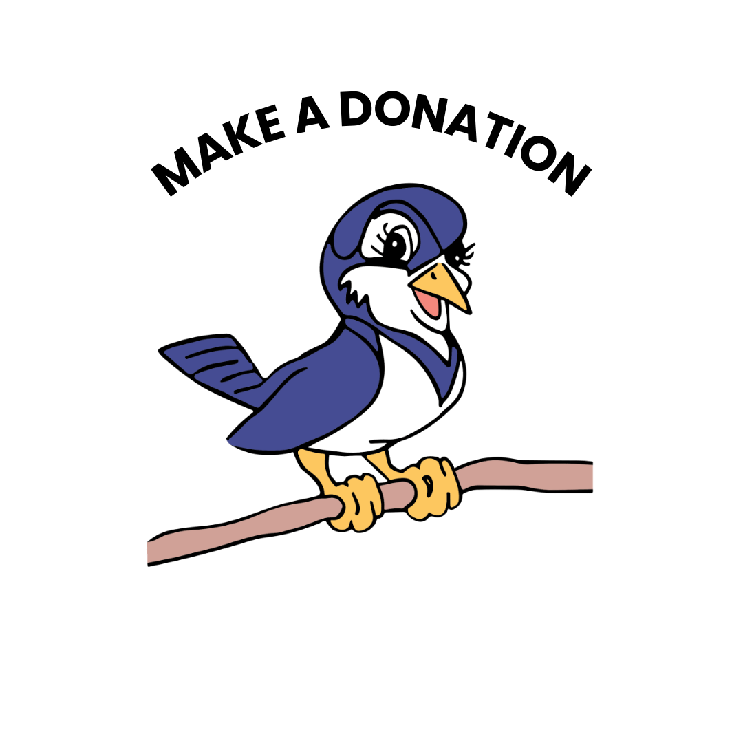 BMPRSS Make a donation